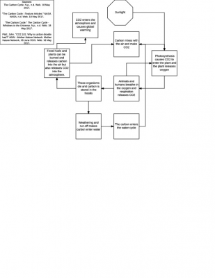 Cycles of Matter in the Food System - Carbon