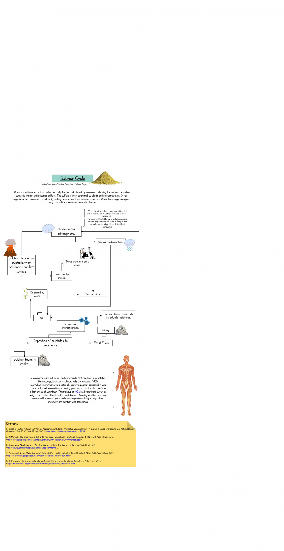 Cycles of Matter- Sulfur - Page 1