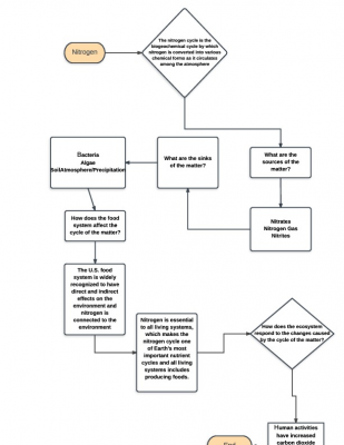 Biochem Flow Chart