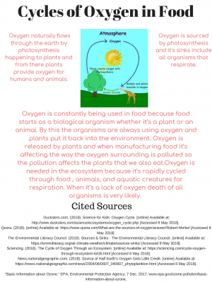 Cycles of Oxygen in Food