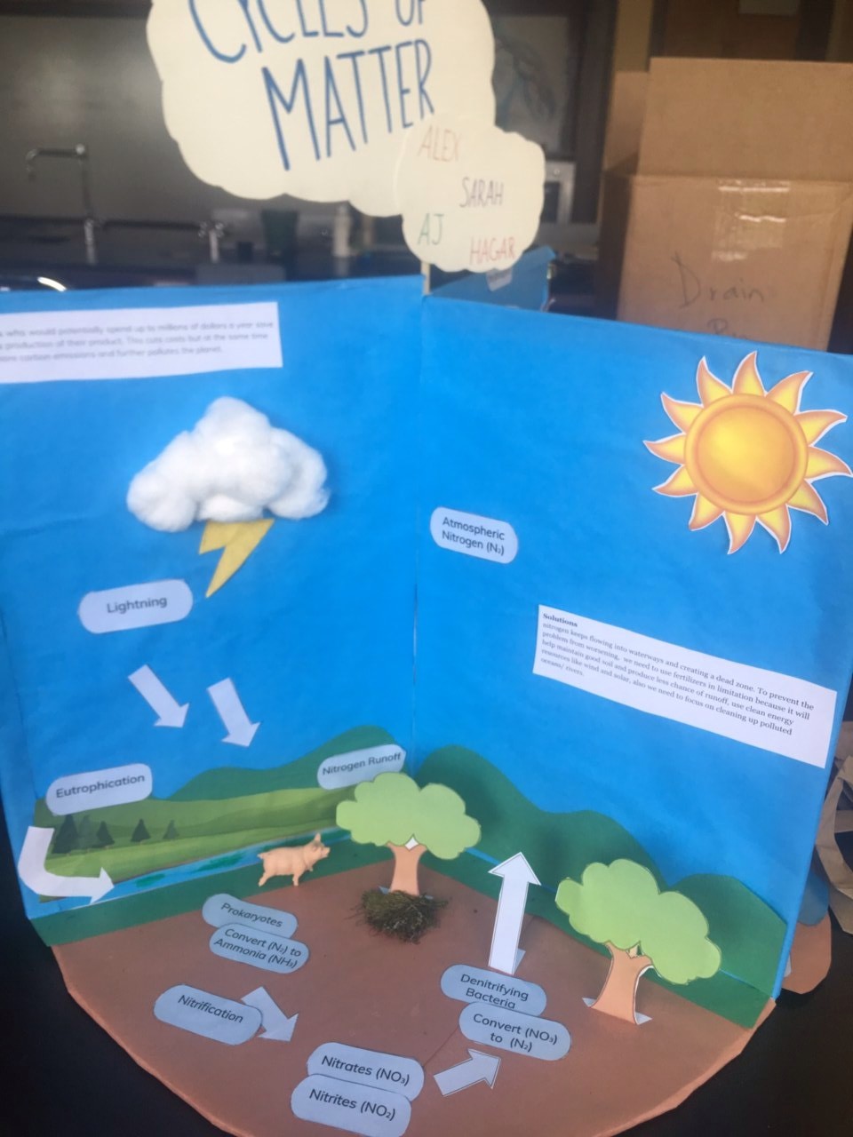 Nitrogen cycle